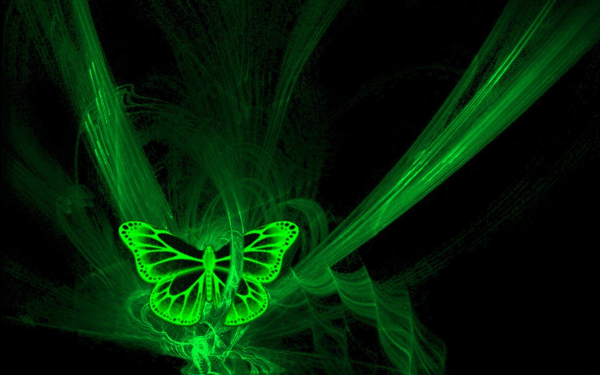 1920x1200 Neon Green Butterfly 909253, Desktop