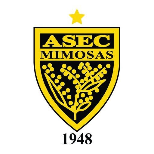 520x520 ASEC Mimosas wallpaper, Phone