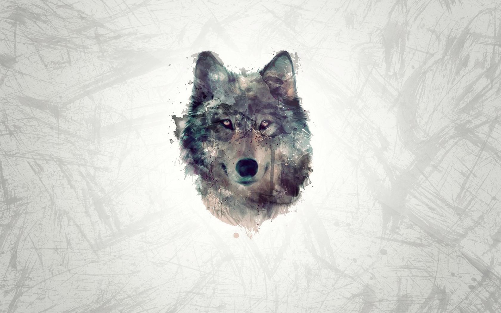 1680x1050 Free download Wolf Wallpaper by JonnyClark [] for your Desktop, Mobile & Tablet. Explore Wolf Wallpaper. Black Wolf Wallpaper, Cool Wolf Wallpaper, Wolf Wallpaper Free Download, Desktop