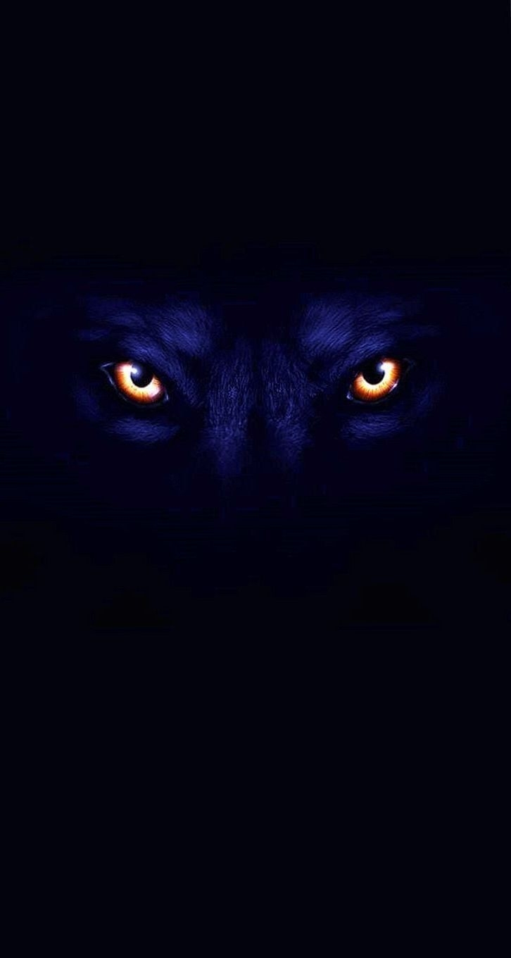 730x1360 Black Wolf With Blue Eyes Wallpaper, Phone