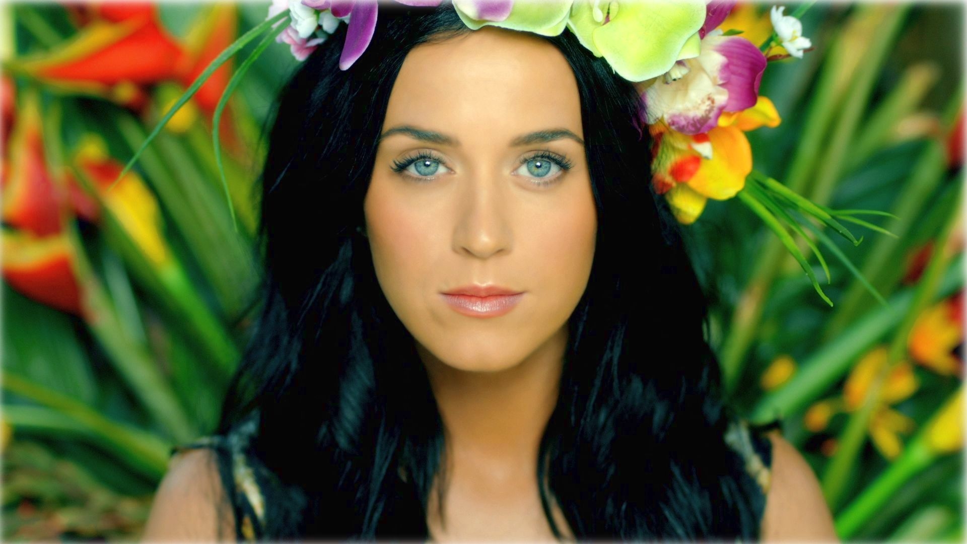 1920x1080 Katy Perry Roar Wallpaper Full HD. Katy perry roar, Katy perry, Katty perry, Desktop