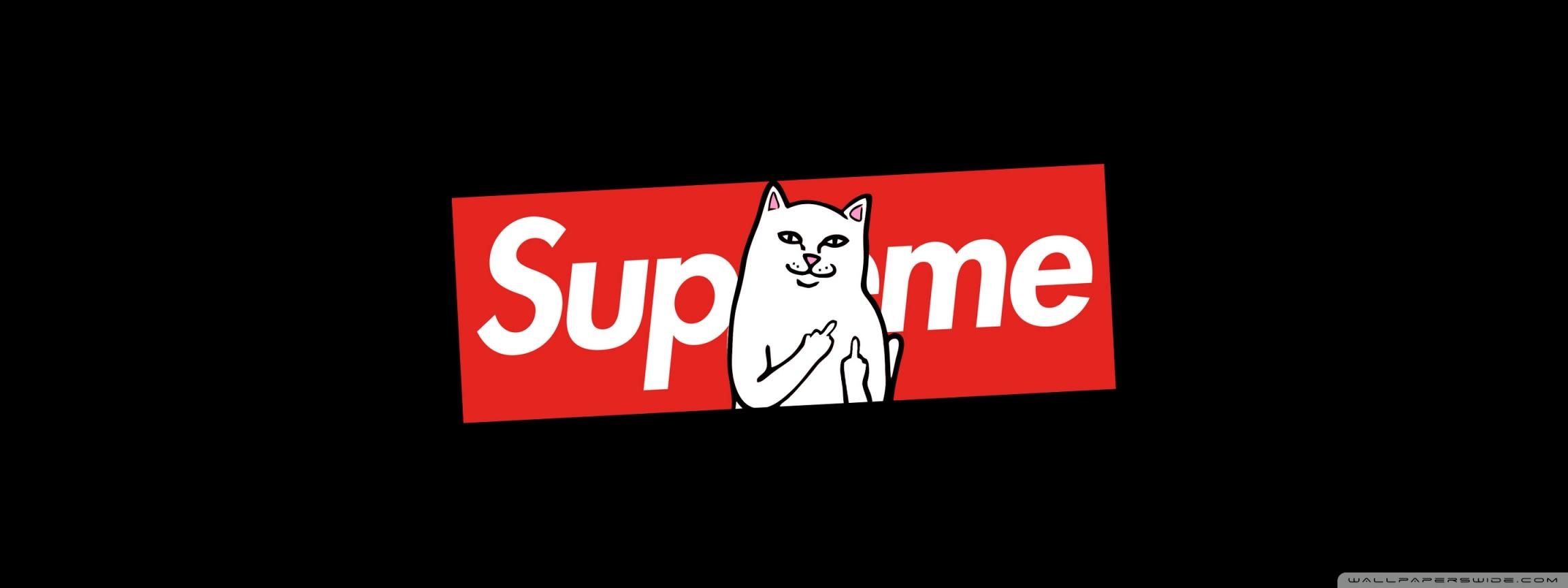 2310x870 Supreme Cat Ultra HD Desktop Background Wallpaper for 4K UHD TV, Dual Screen