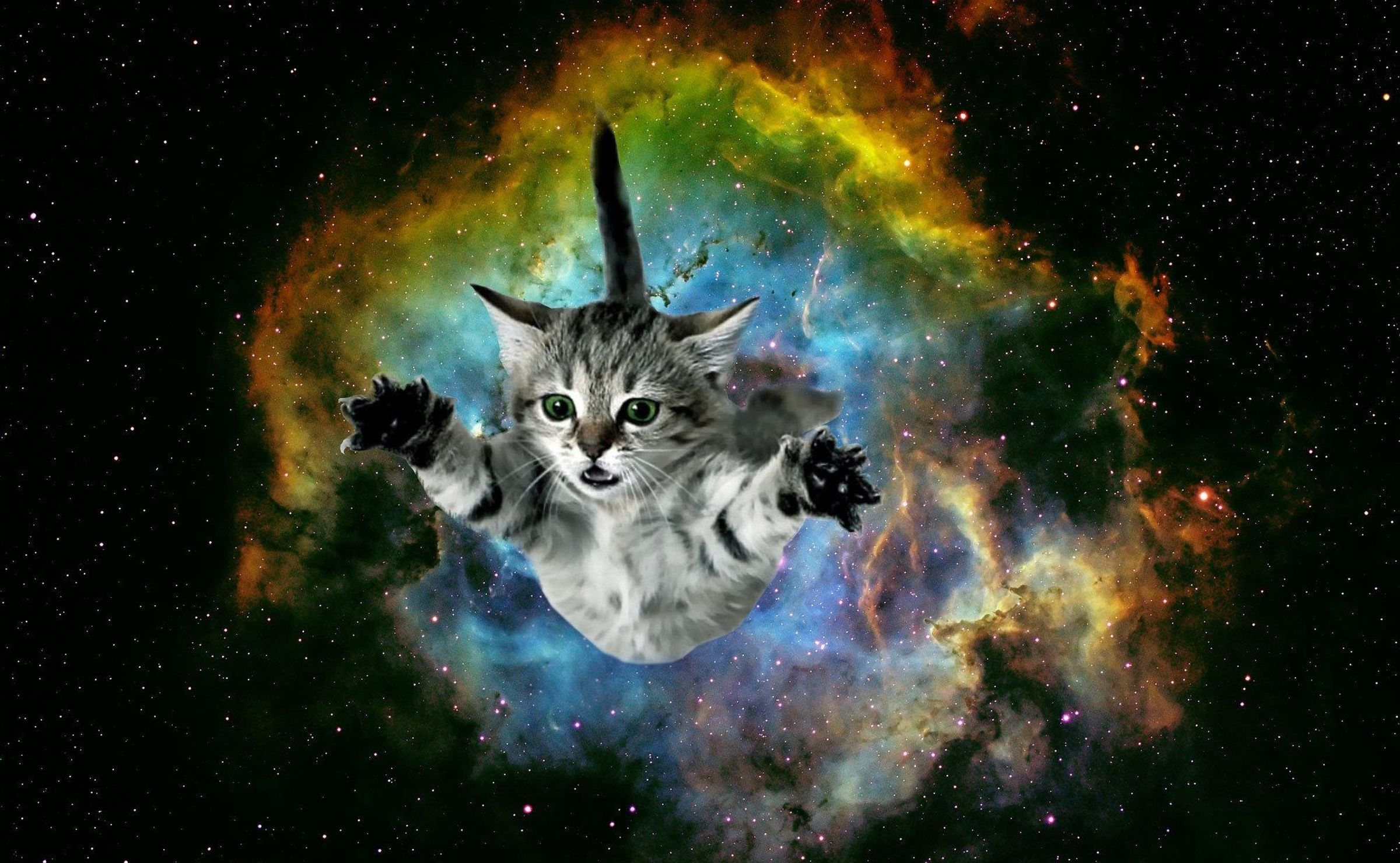 2400x1480 Galaxy Cat Wallpaper, Desktop