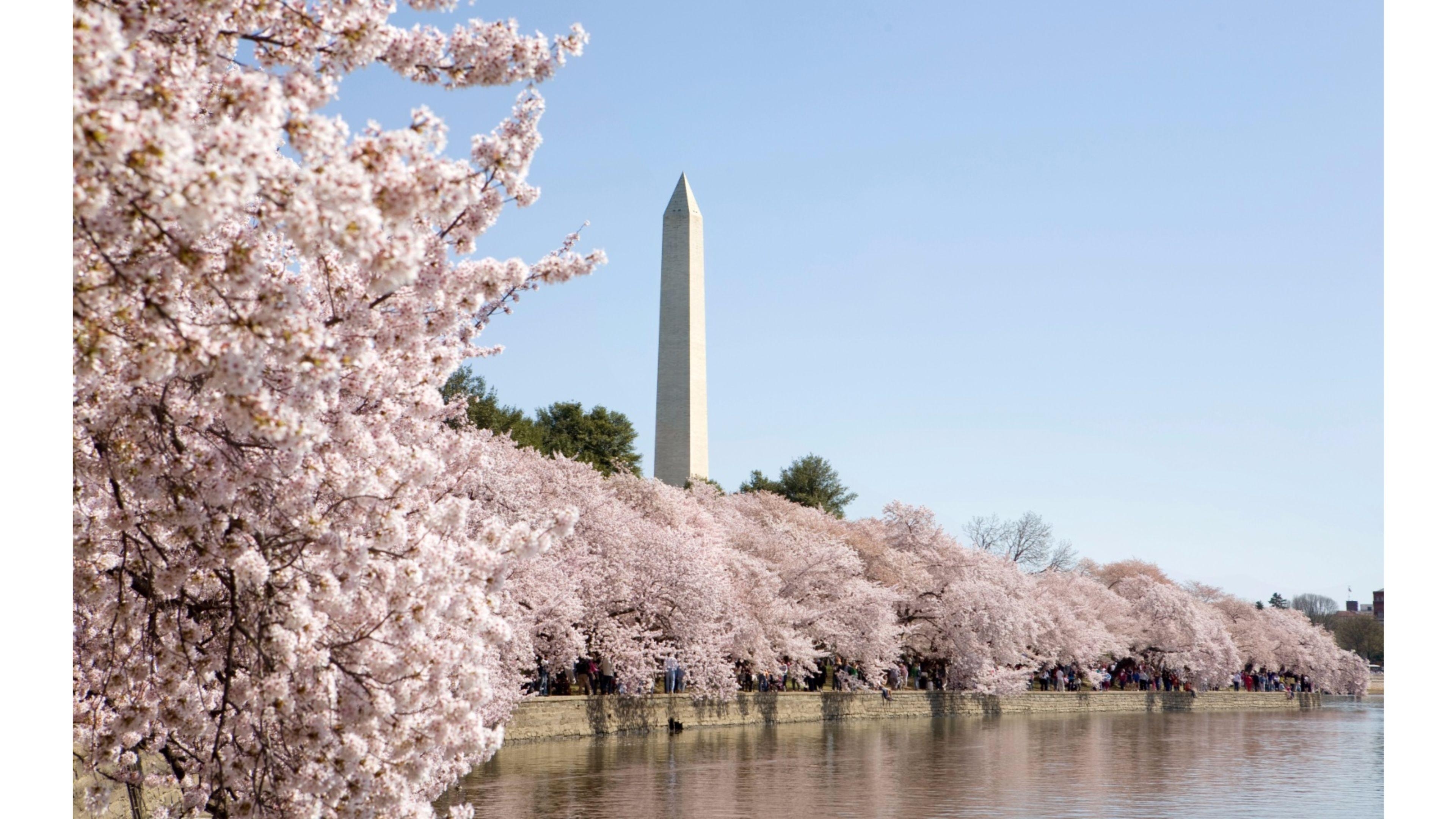 3840x2160 Winter 4K Washington DC Wallpaper. Free 4K Wallpaper, Desktop