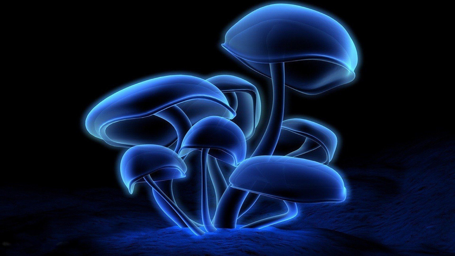 1920x1080 Neon Mushroom Wallpaper, Desktop