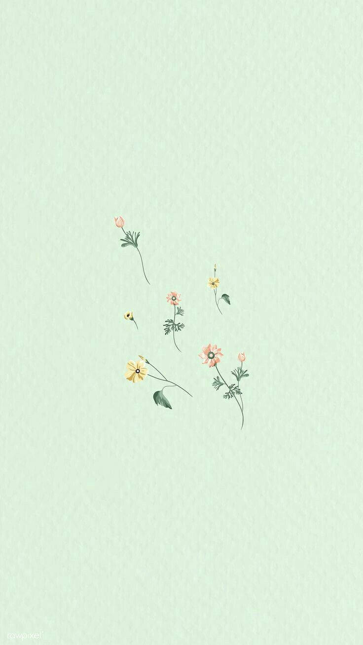 740x1310 Download Mint Green Aesthetic Small Flowers Wallpaper, Phone