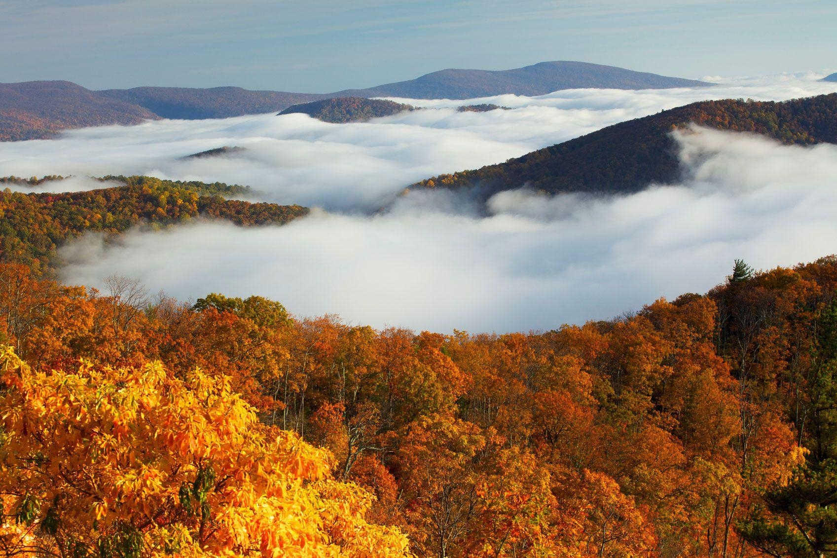 1700x1140 Must Dos At Shenandoah National Park • Columbia Blog, Desktop