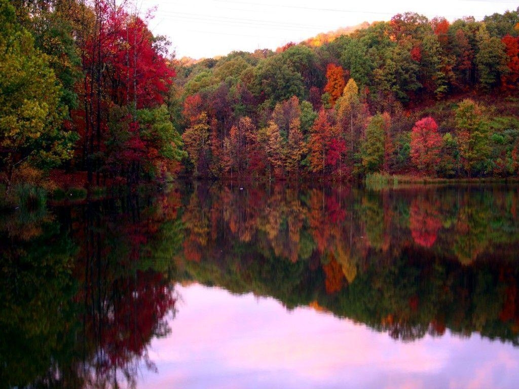 1030x770 image For > Fall Scenery Wallpaper, Desktop