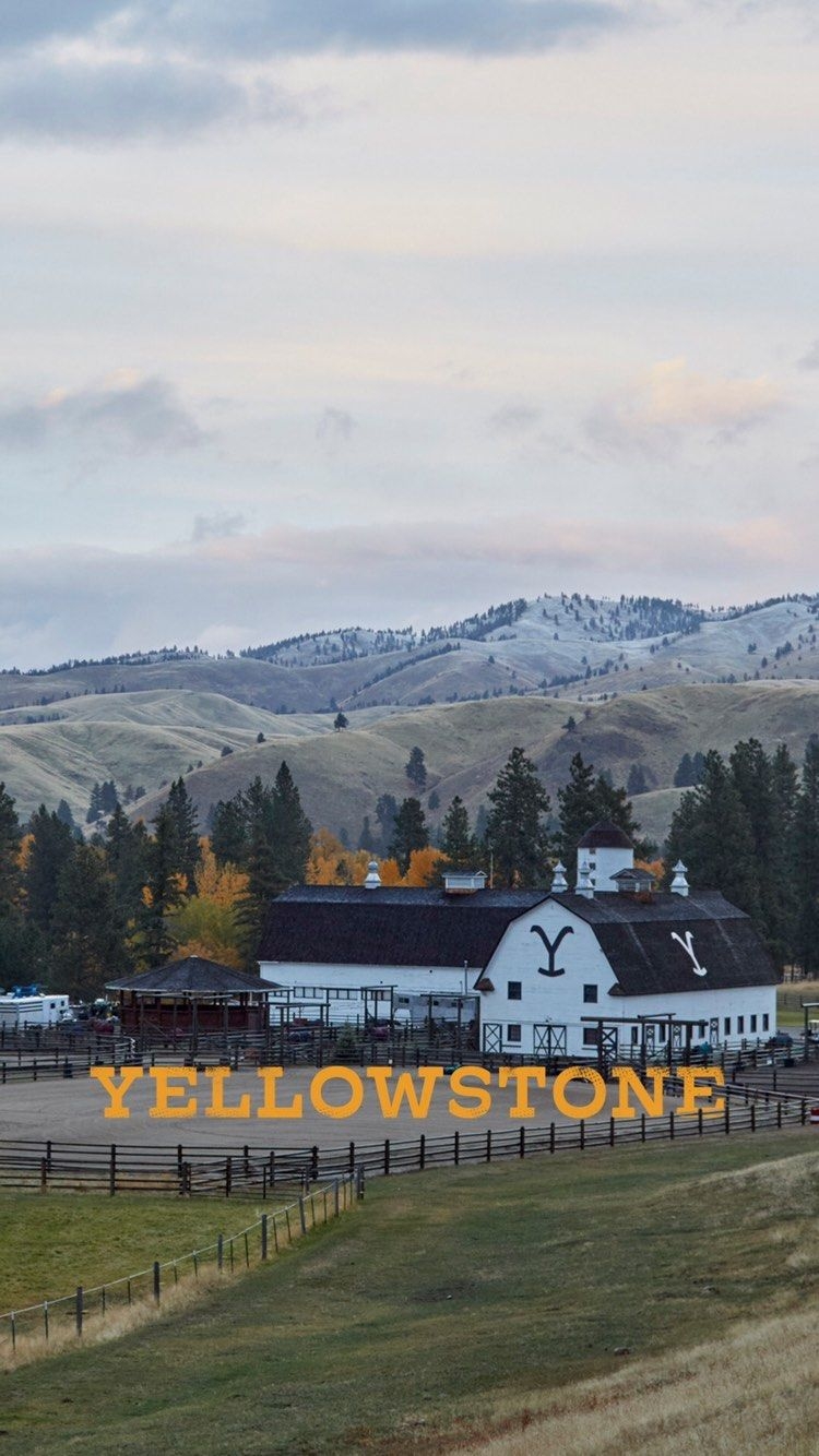 750x1340 Instagram. Yellowstone series, Phone