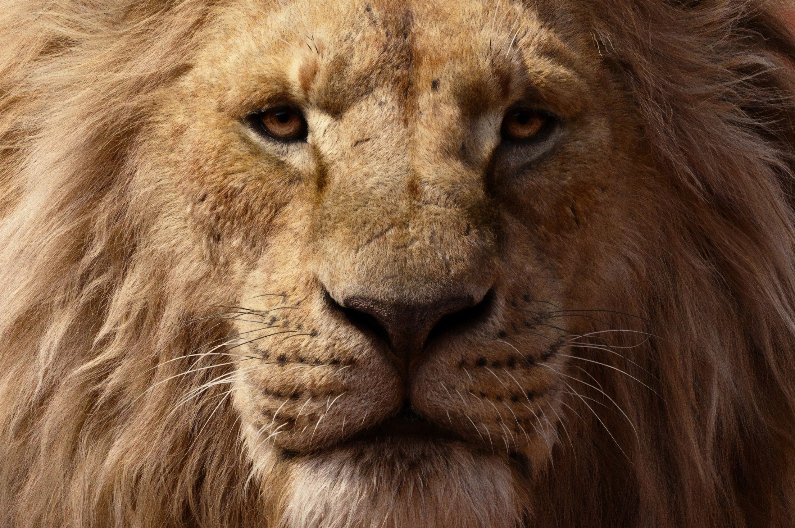 2560x1700 James Earl Jones As Mufasa The Lion King 2019 4k, Desktop