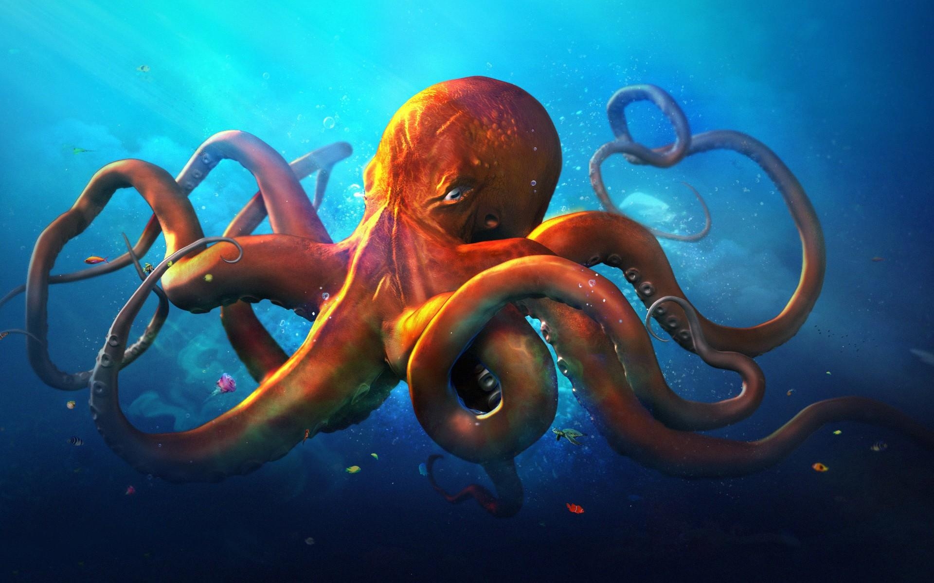 1920x1200 Octopus Wallpaper Free Octopus Background, Desktop