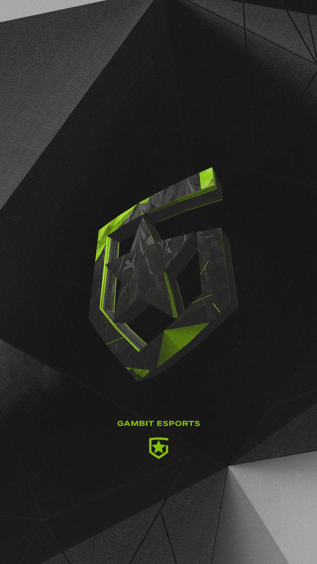 1080x1920 Gambit Esports ready to support #GambitCSGO at #ESLProLeague, Phone