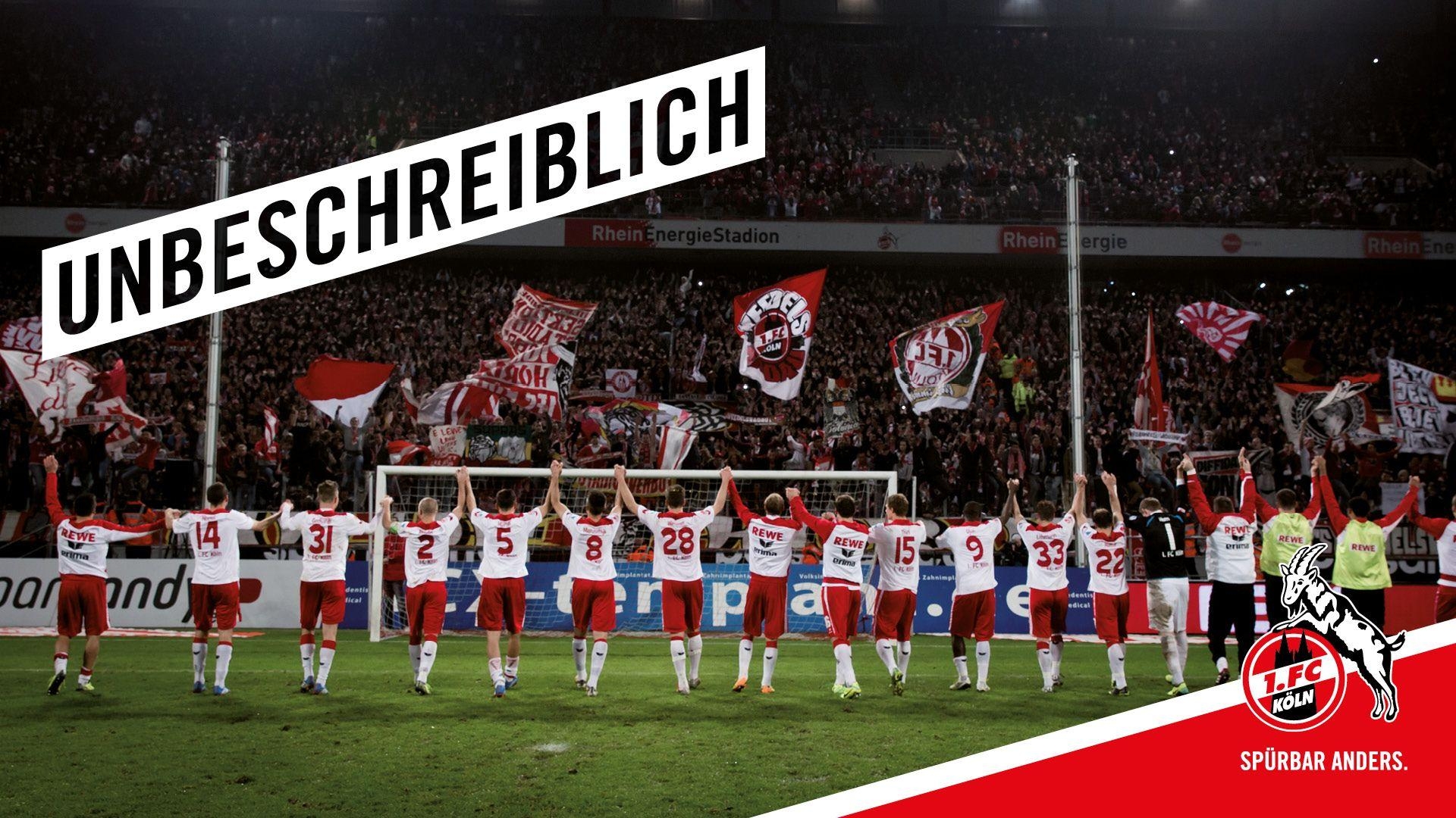 1920x1080 1. FC Köln, Desktop