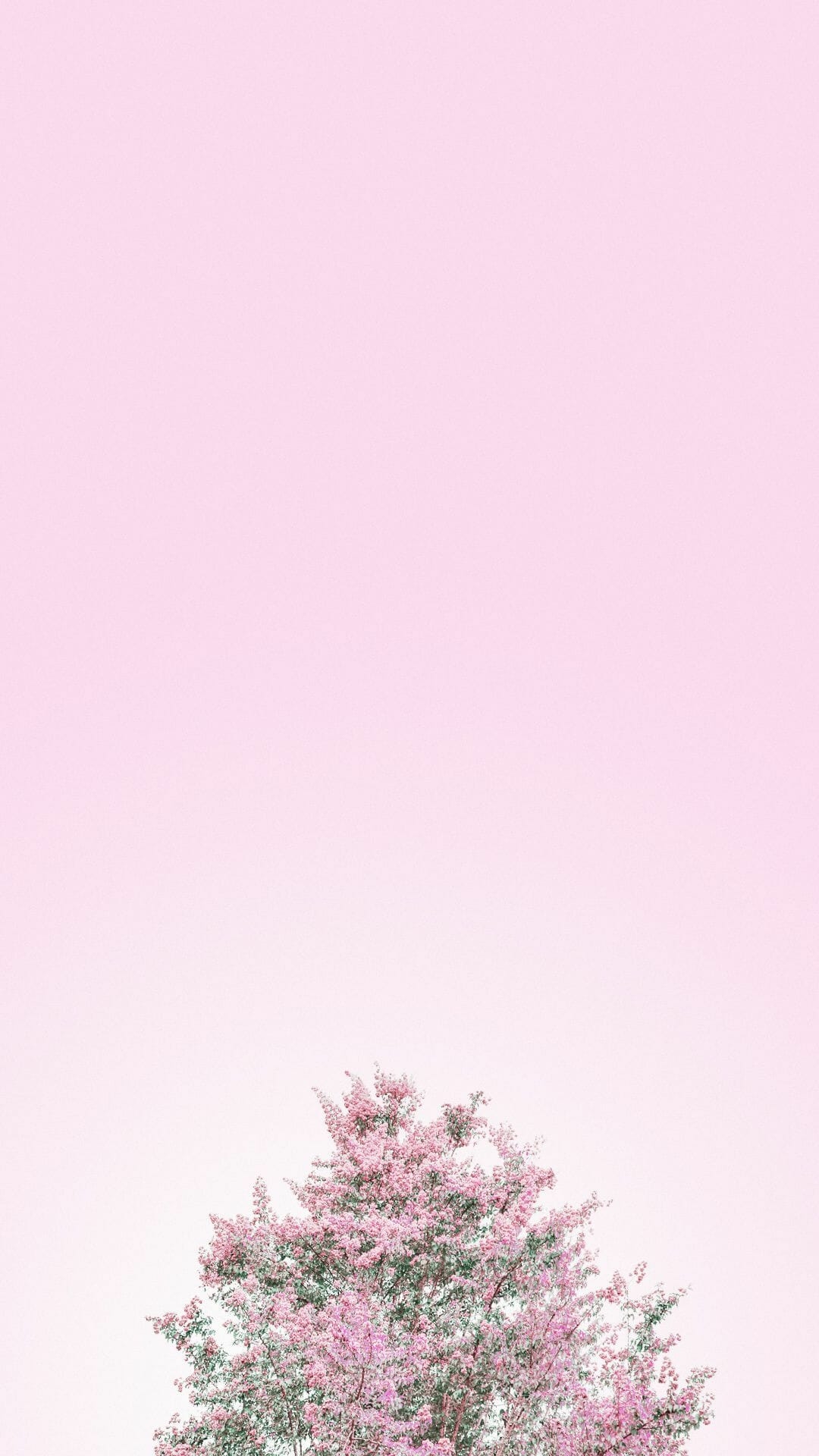 1080x1920 Download aesthetic pink 1080 x 1920 Wallpaper (2022), Phone