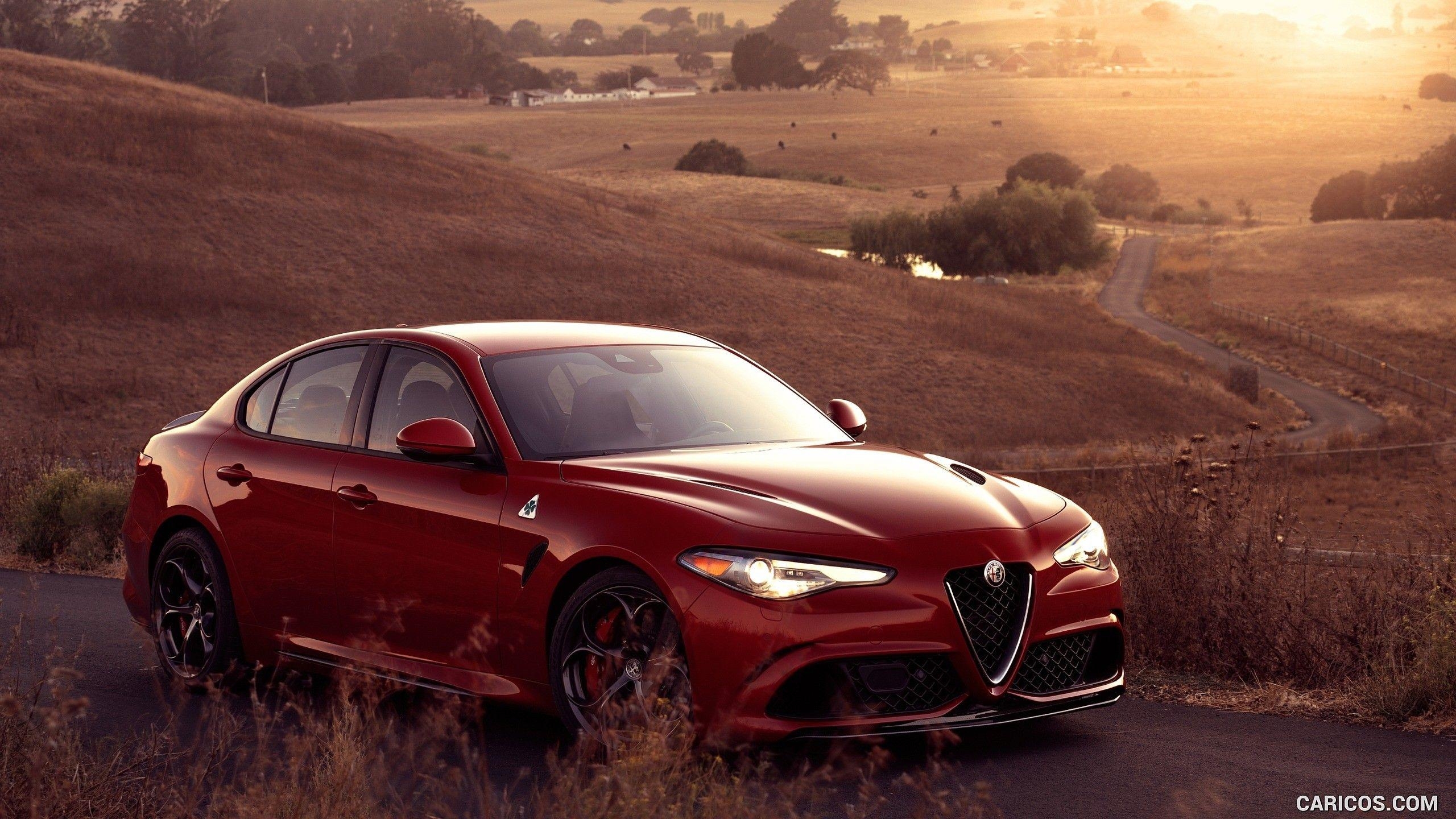 2560x1440 Alfa Romeo HD, HD Cars, 4k Wallpaper, Image, Background, Photo, Desktop