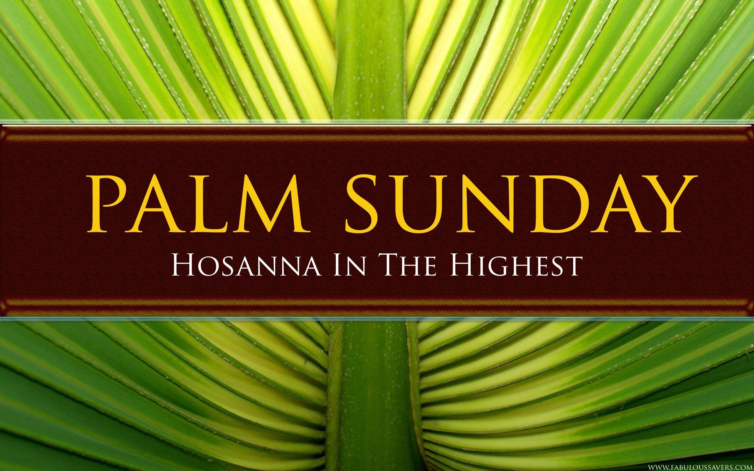 2560x1600 Palm Sunday 2014 Wallpaper Free Download HD Background. HD, Desktop