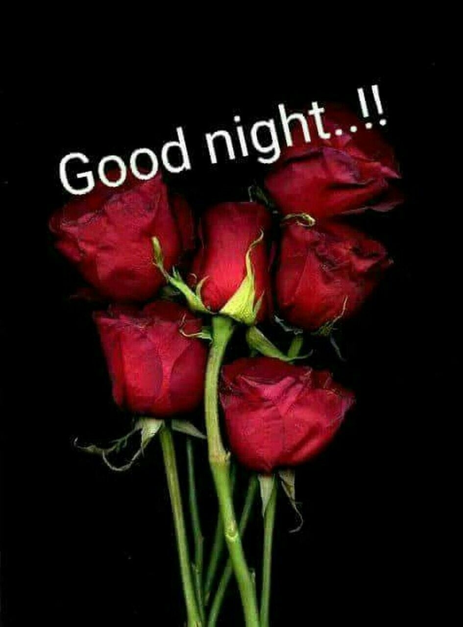 950x1280 Good Nighty Nite. Good night flowers, Red roses, Beautiful flowers picture, Phone