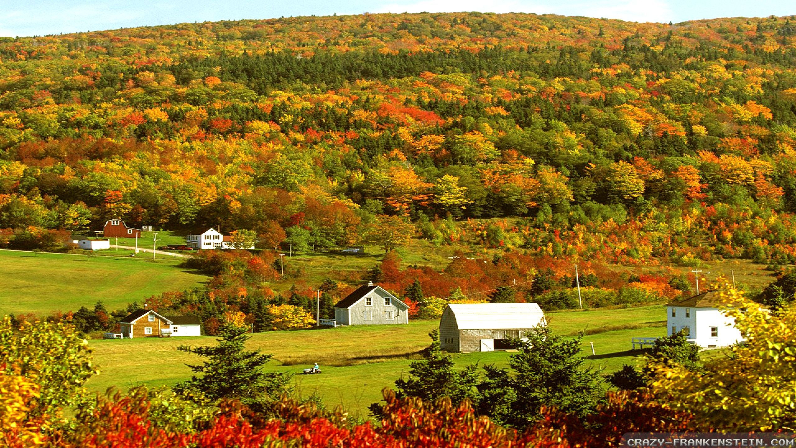 2560x1440 Autumn In Canada wallpaper 2, Desktop