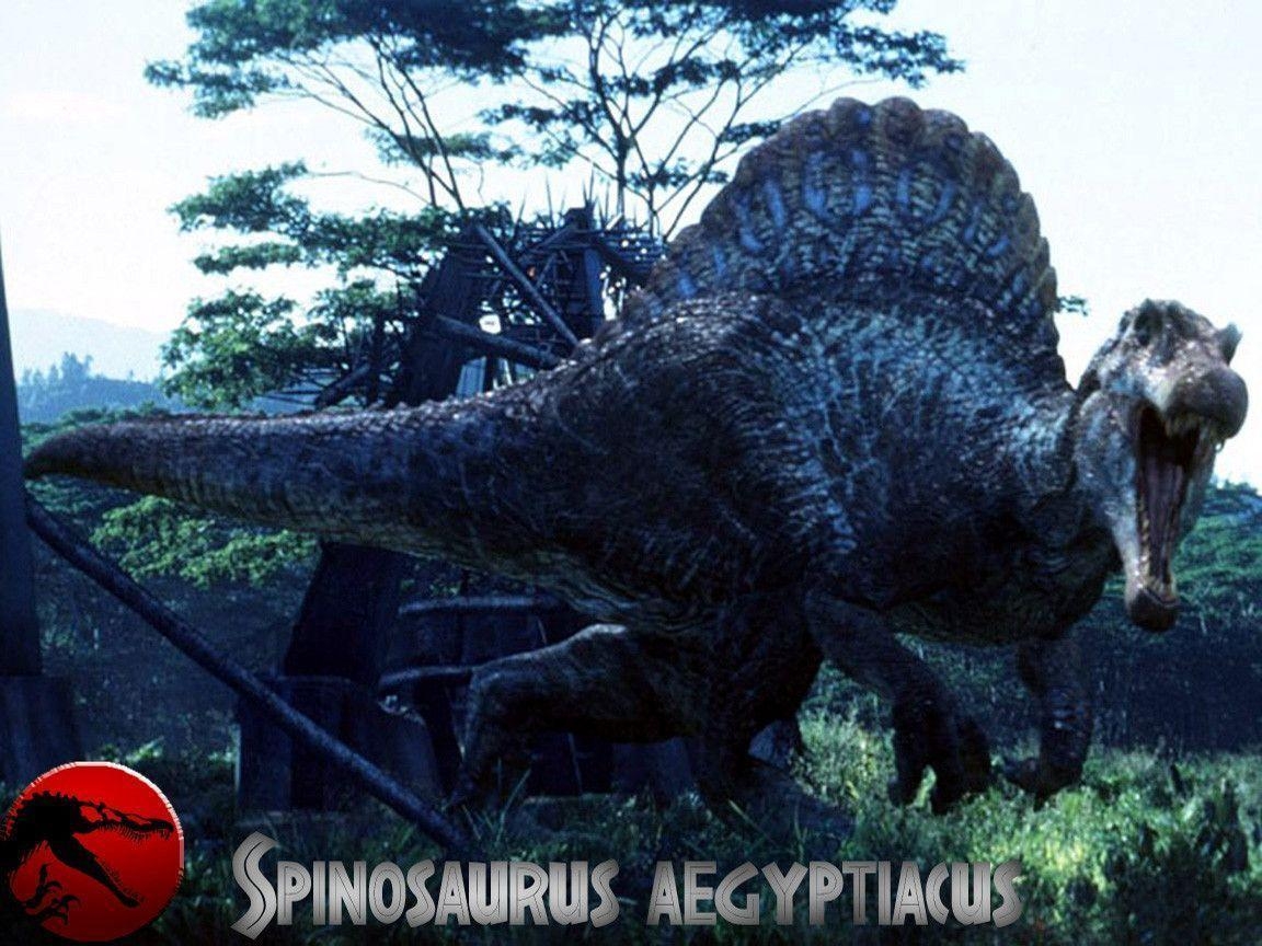 1160x870 Spinosaurus Wallpaper Image & Picture, Desktop