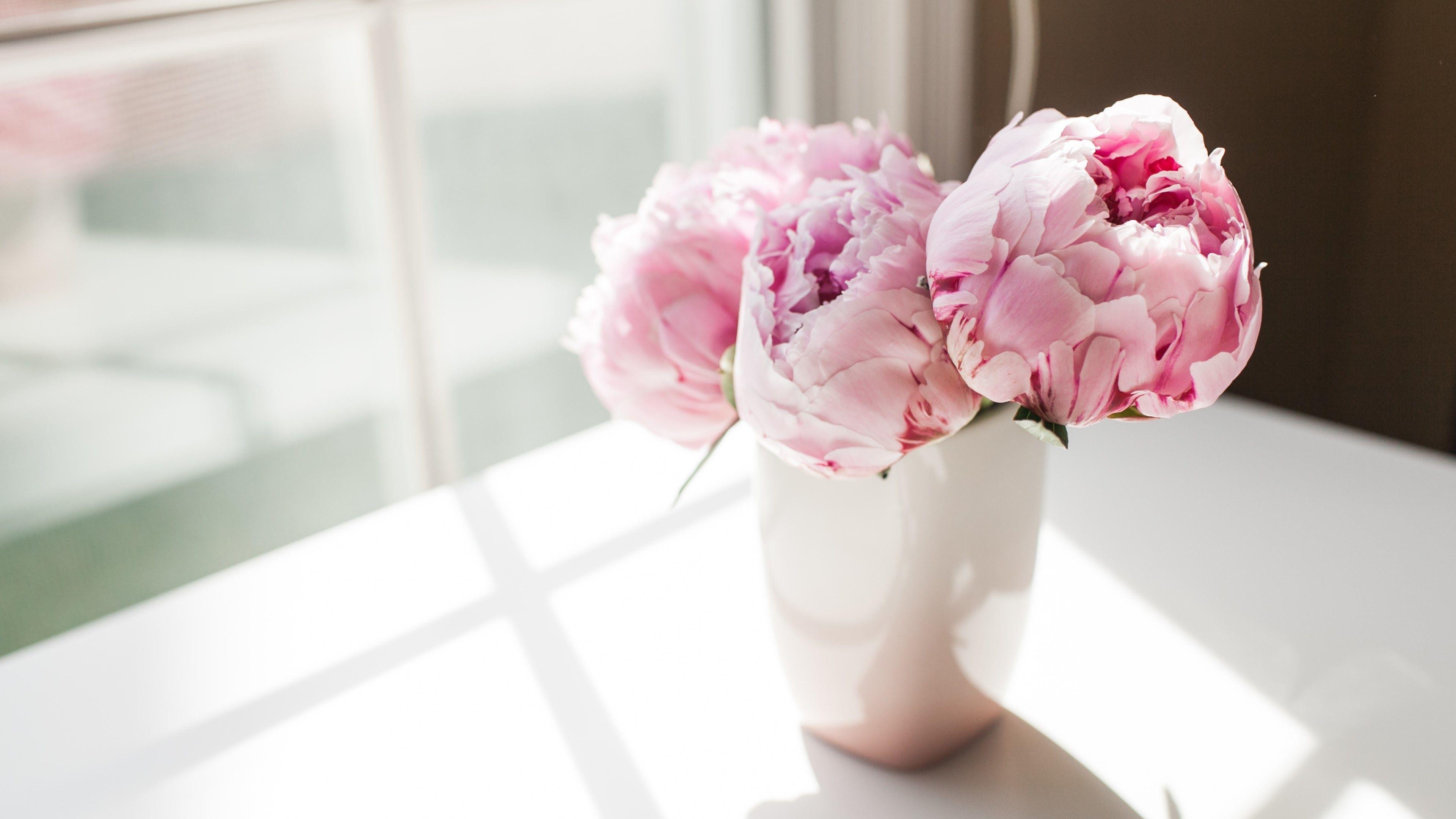 3840x2160 Bouquet Peonies Pink Flowers Wallpaper and Free, Desktop