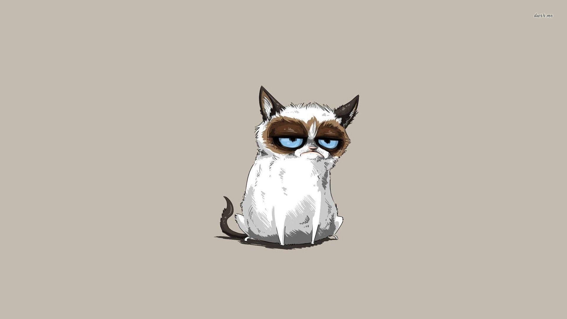 1920x1080 Grumpy Cat Wallpaper Background, Animals Wallpaper, Desktop