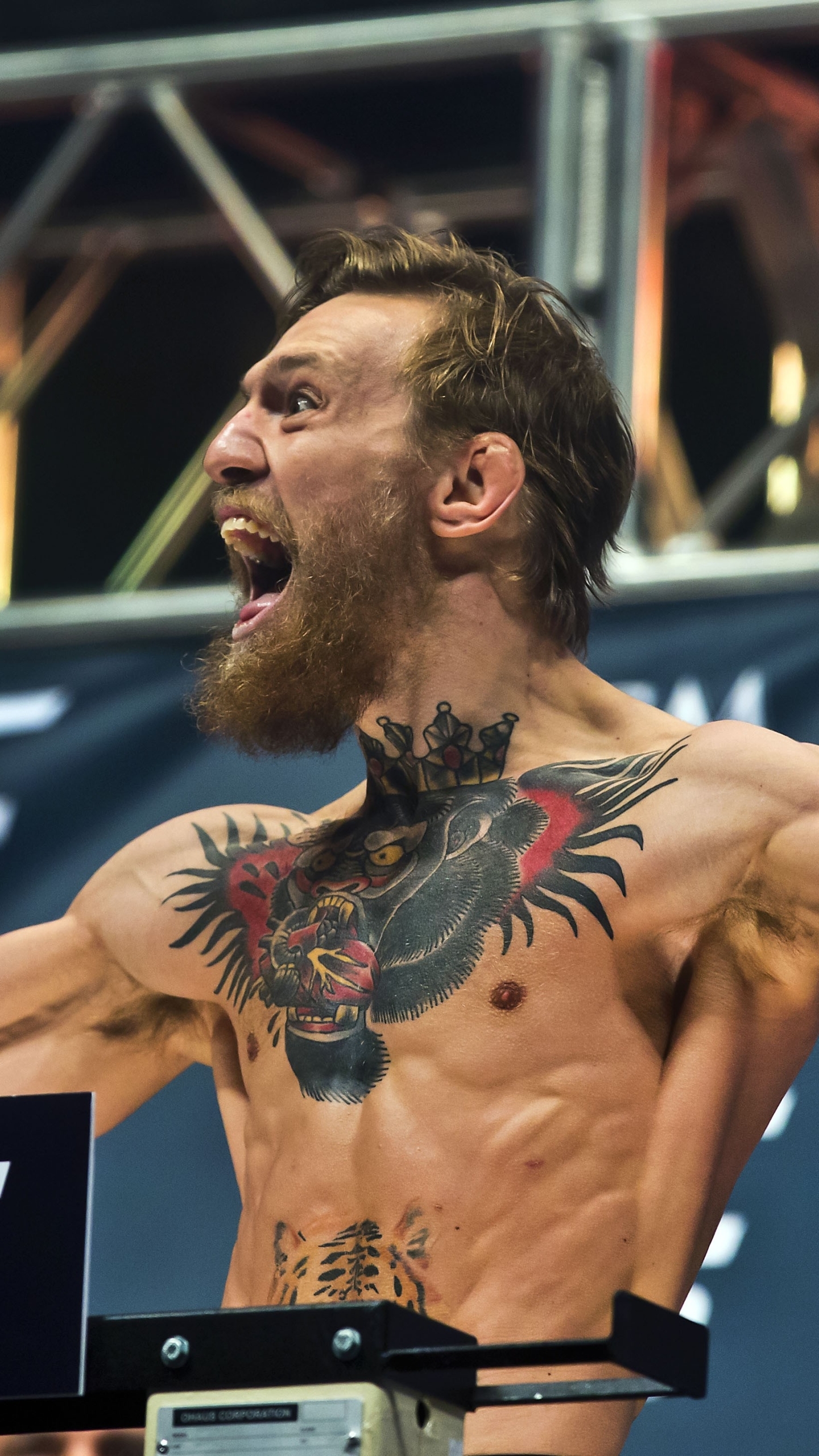 1440x2560 Conor McGregor Phone Wallpaper, Phone