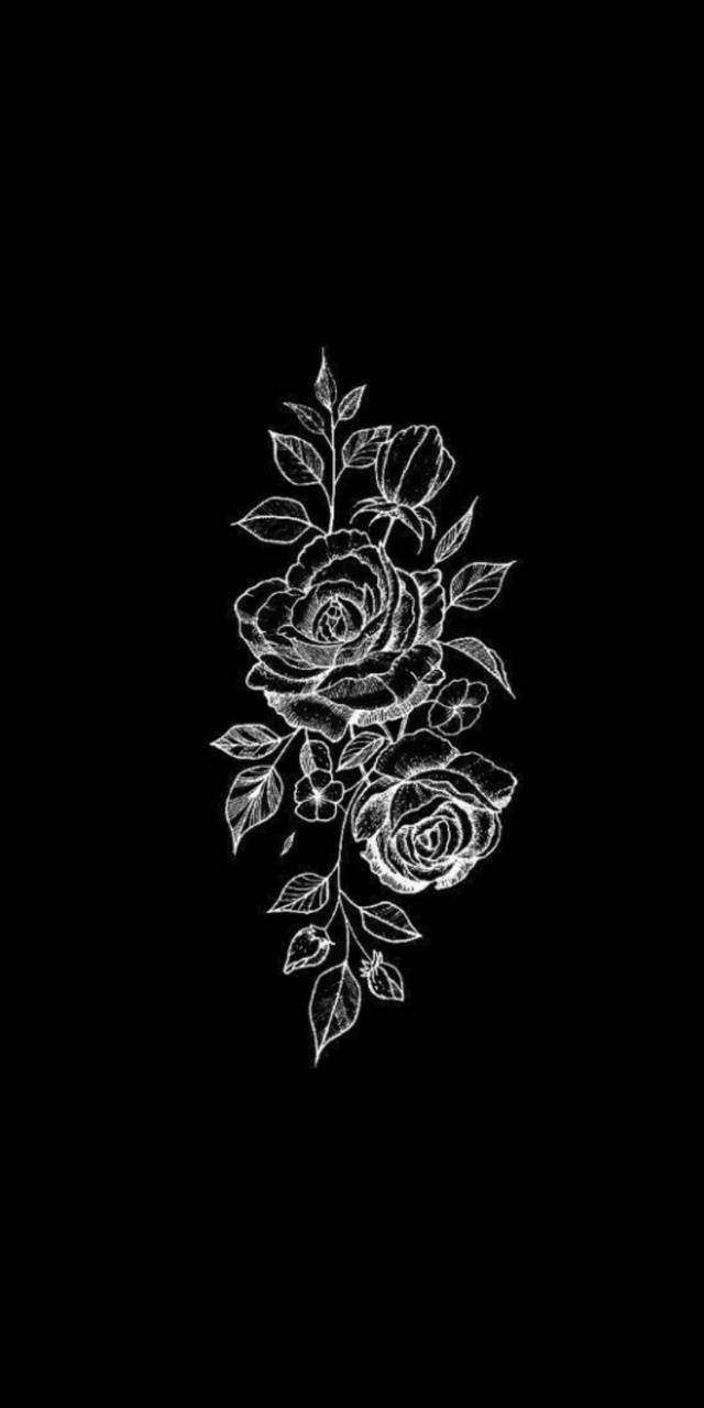 640x1280 Rose wallpaper, Phone