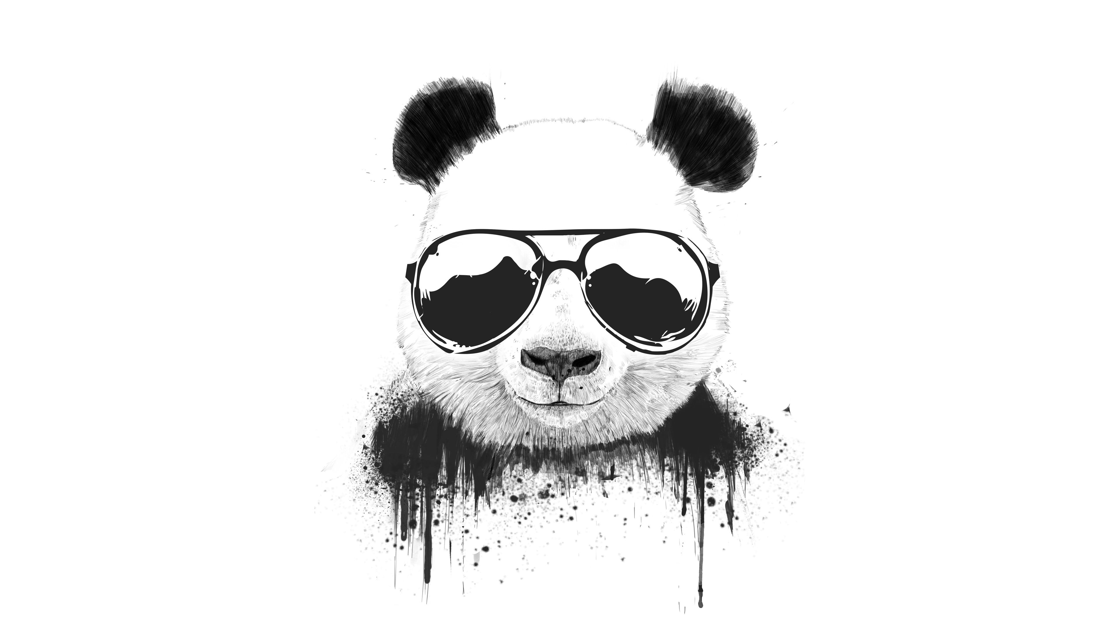 3840x2160 Stay Cool Panda, HD Artist, 4k Wallpaper, Image, Background, Desktop