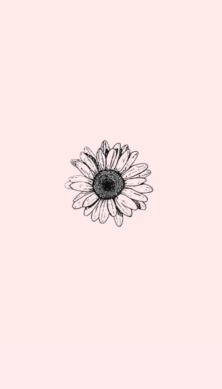 740x1280 Aesthetic Flower Wallpaper Cartoon, Phone