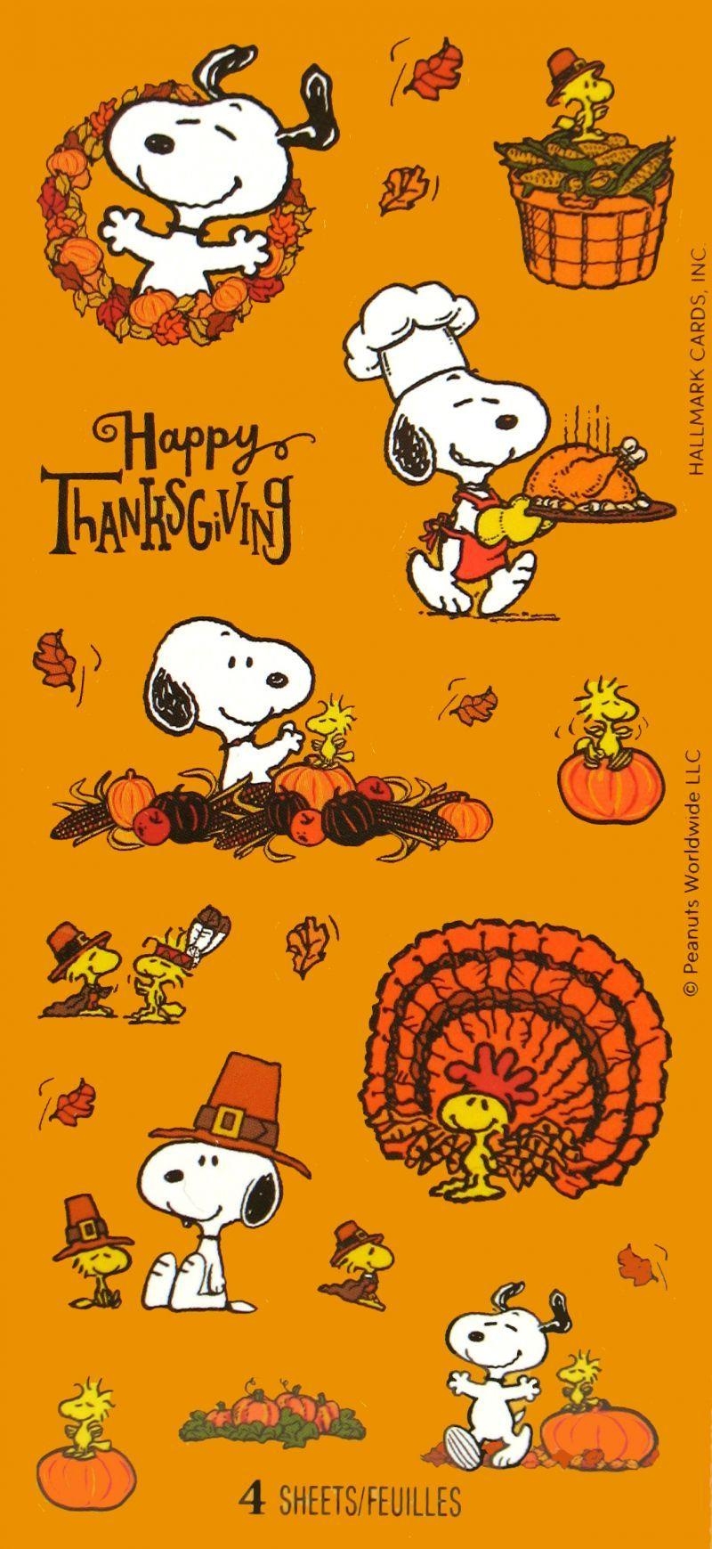 800x1740 Snoopy wallpaper, Thanksgiving snoopy.com, Phone