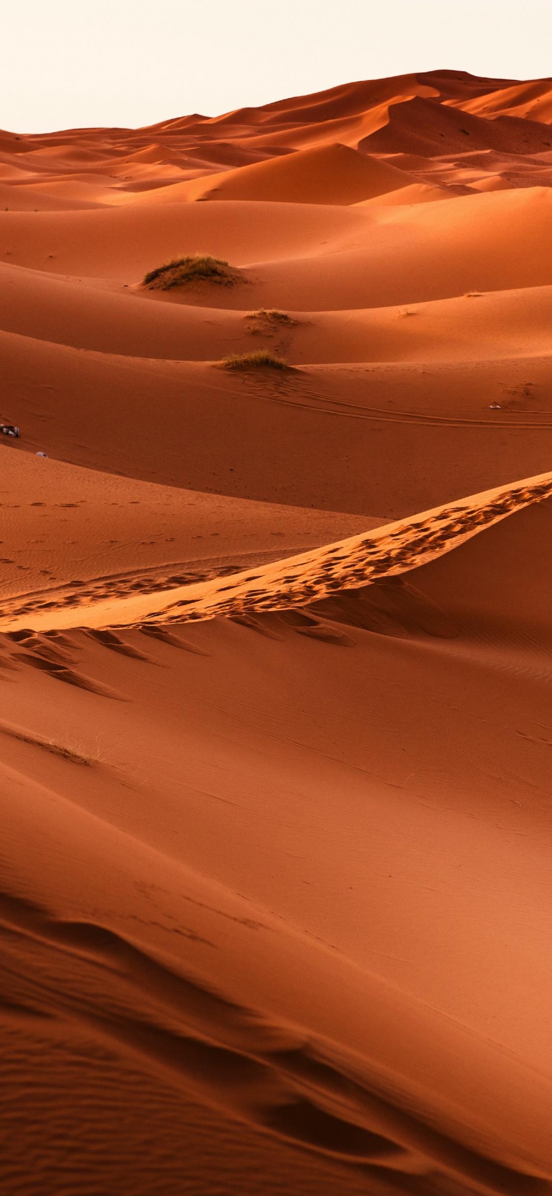 1130x2440 Morocco, Desert, Sand, Dunes, Wallpaper Image Of Desert, HD, Phone