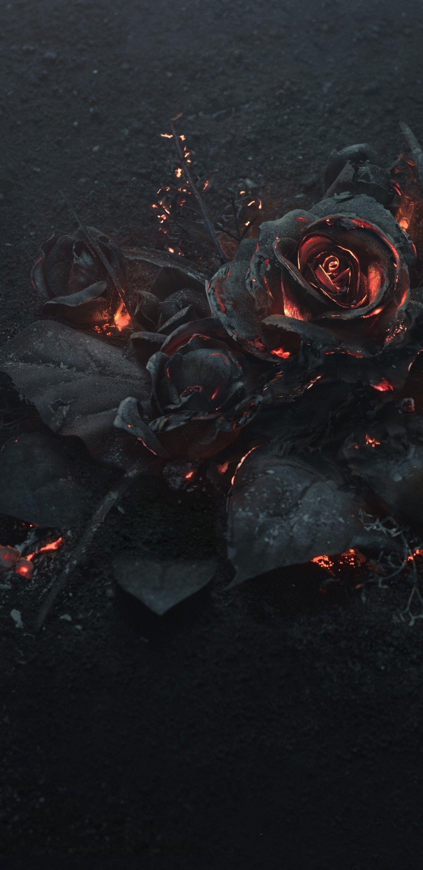 1440x2960 Download  Rose Ashes, Fire, Black, Dark Theme Wallpaper, Phone