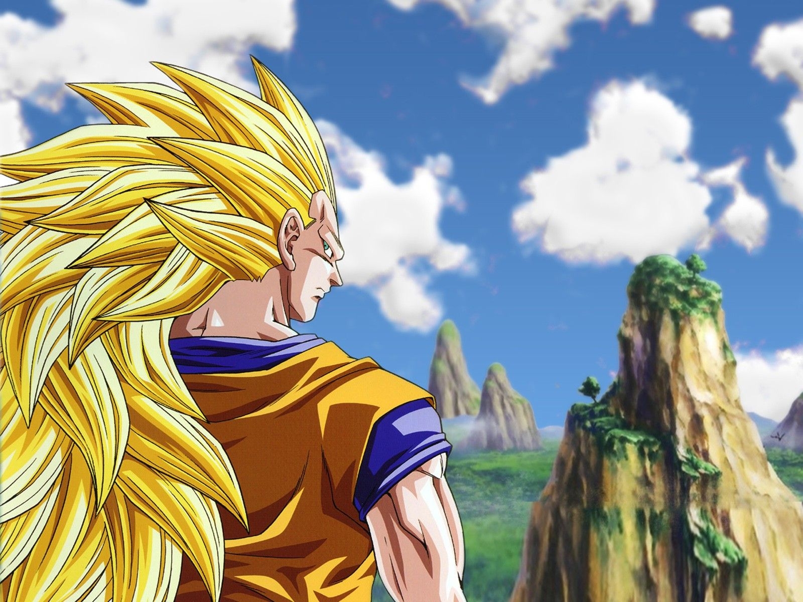 1600x1200 Wallpaper, landscape, illustration, anime, sky, yellow, Dragon Ball, Dragon Ball Z, Vegeta, Super Saiyan ART, tree, plant,  px, computer wallpaper, fictional character, fiction, grass family, commodity, Desktop