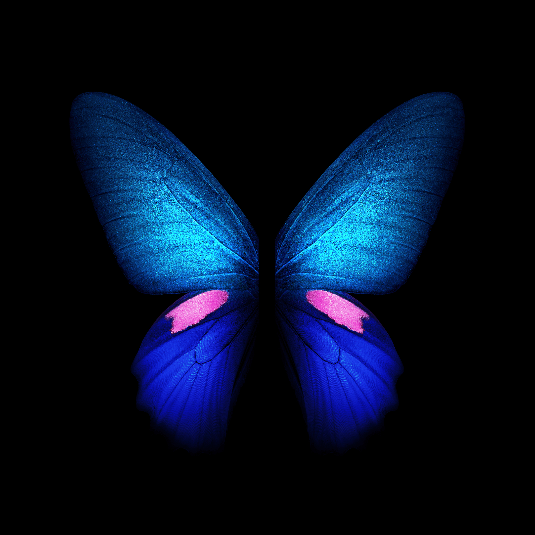 2160x2160 Download Samsung Galaxy Fold wallpaper in full resolution right here, Phone