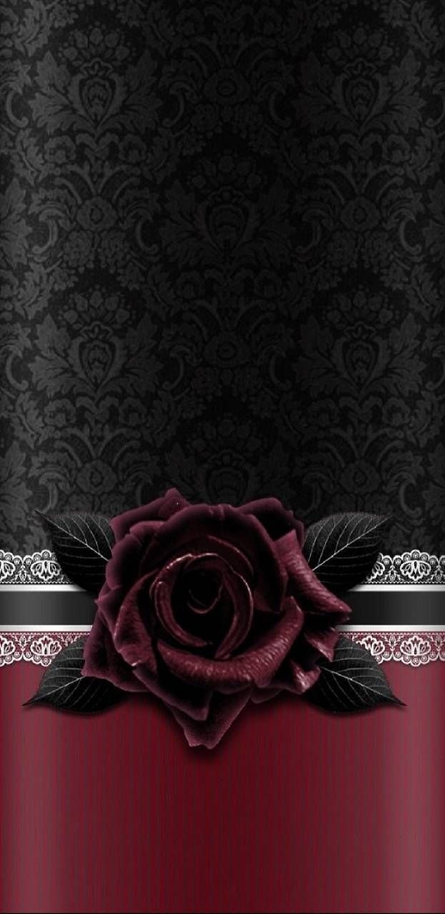 630x1280 Download Gothic Rose Wallpaper, Phone