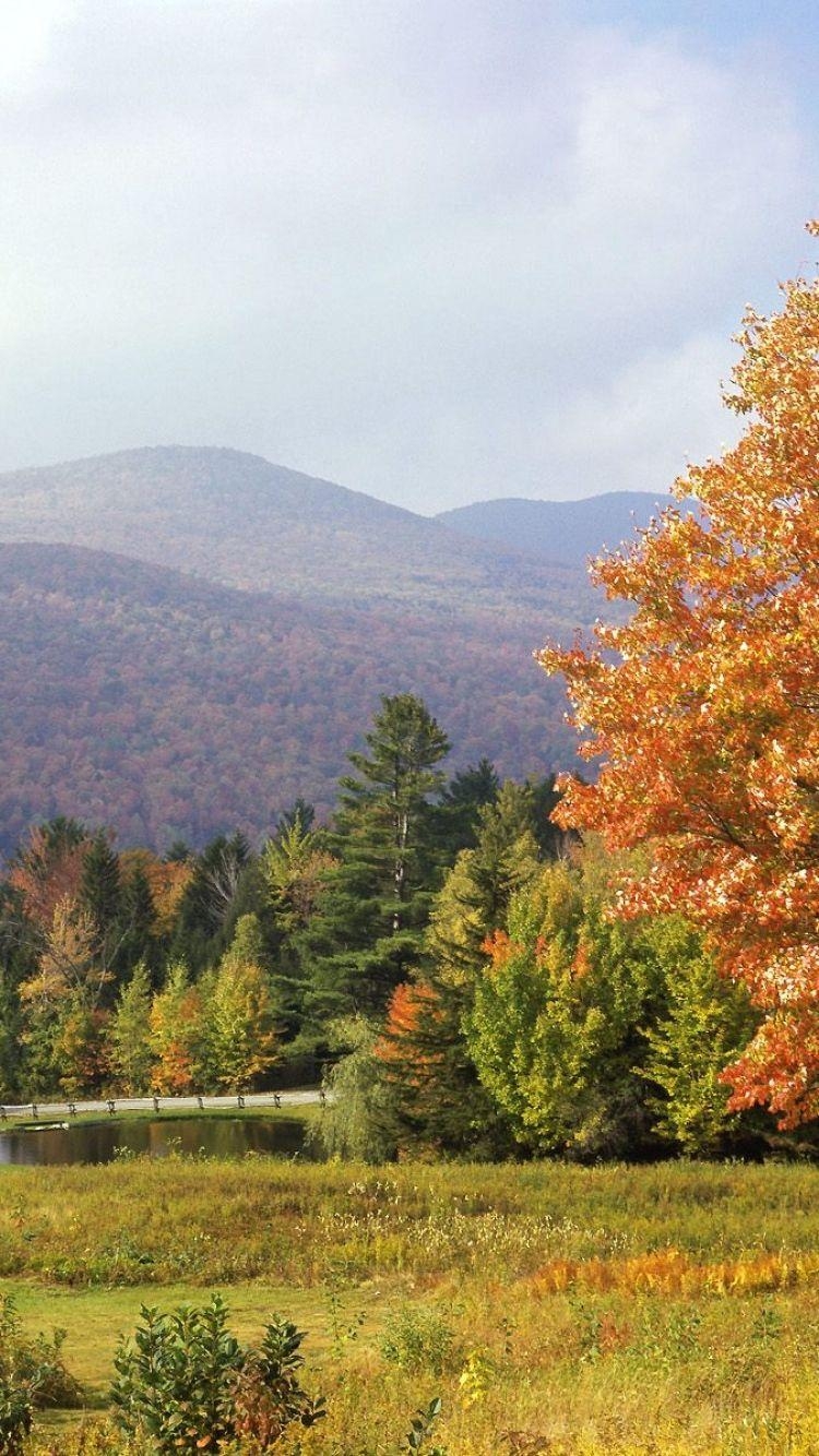 750x1340 Download Wallpaper  Park, Vermont, Trees, Autumn iPhone 6, Phone