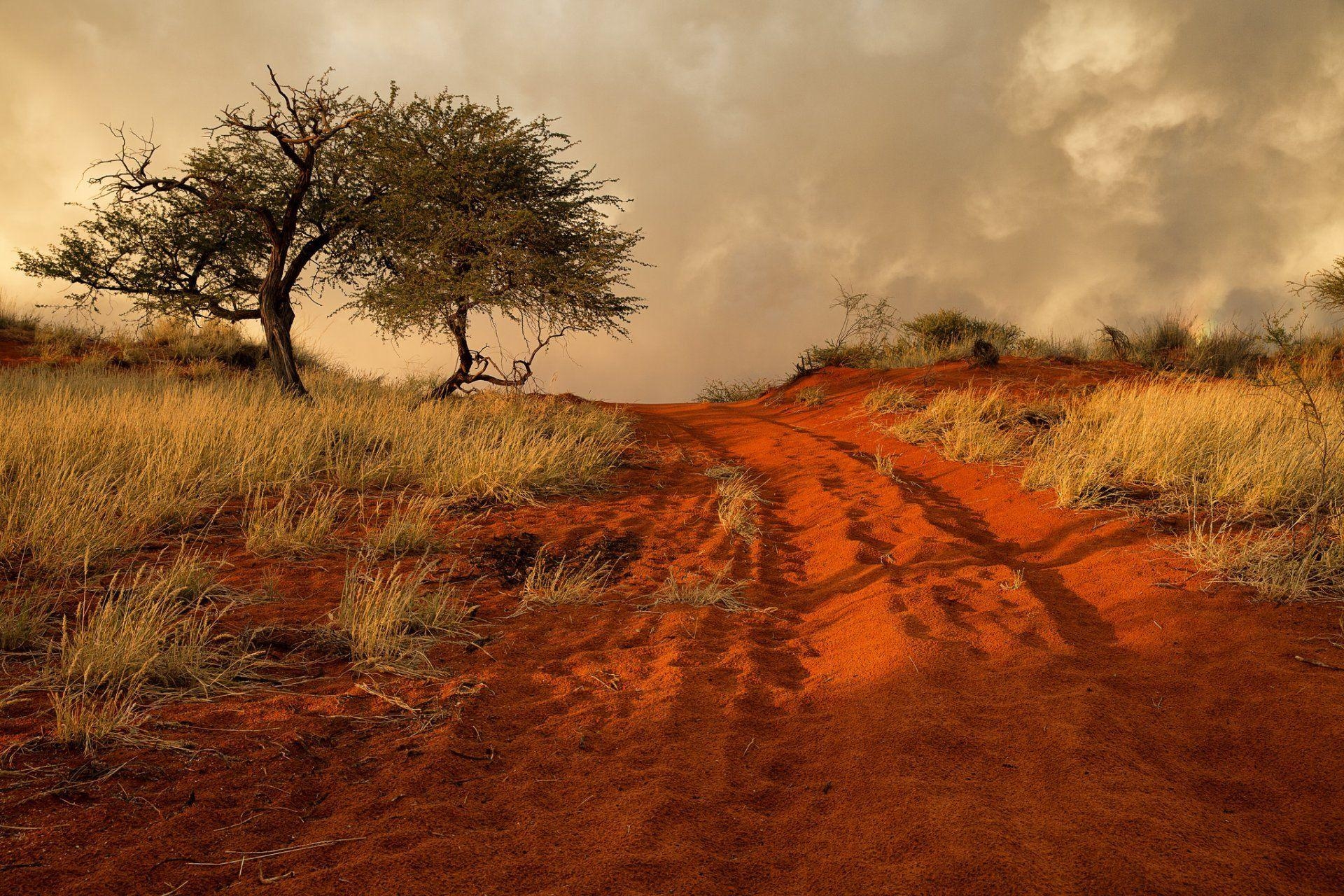 1920x1280 namibia africa hills grass tree sand road HD wallpaper, Desktop