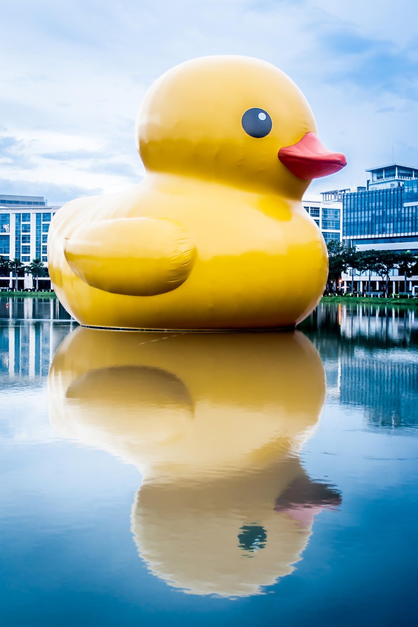 1370x2050 Giant Rubber Duck. Rubber duck, Duck, Duck wallpaper, Phone