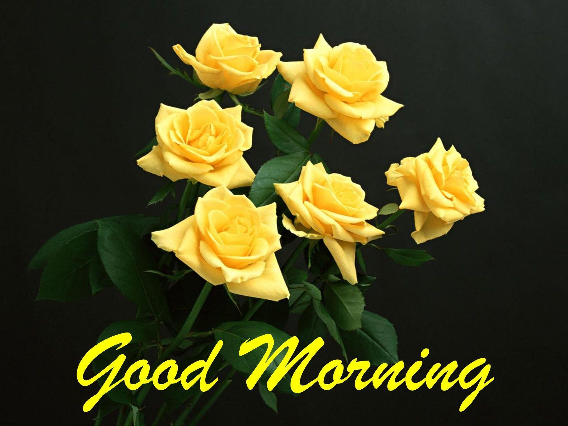 1920x1440 Good Morning HD Wallpaper 2018 Free Image, Desktop