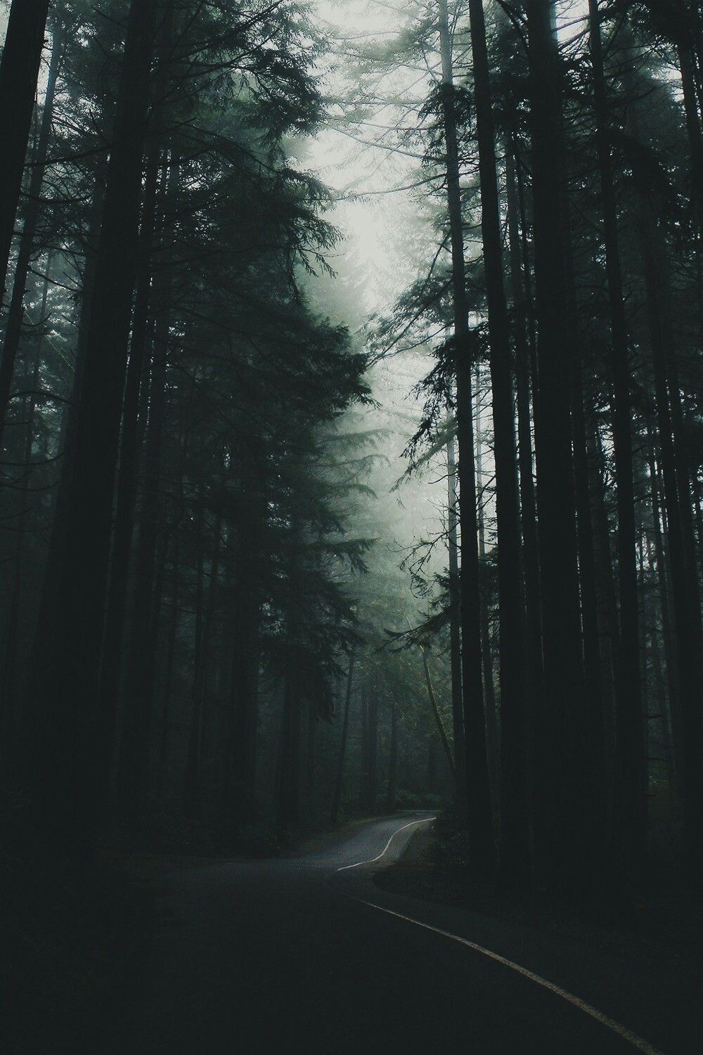 1000x1500 Green Aesthetic Wallpaper, Phone