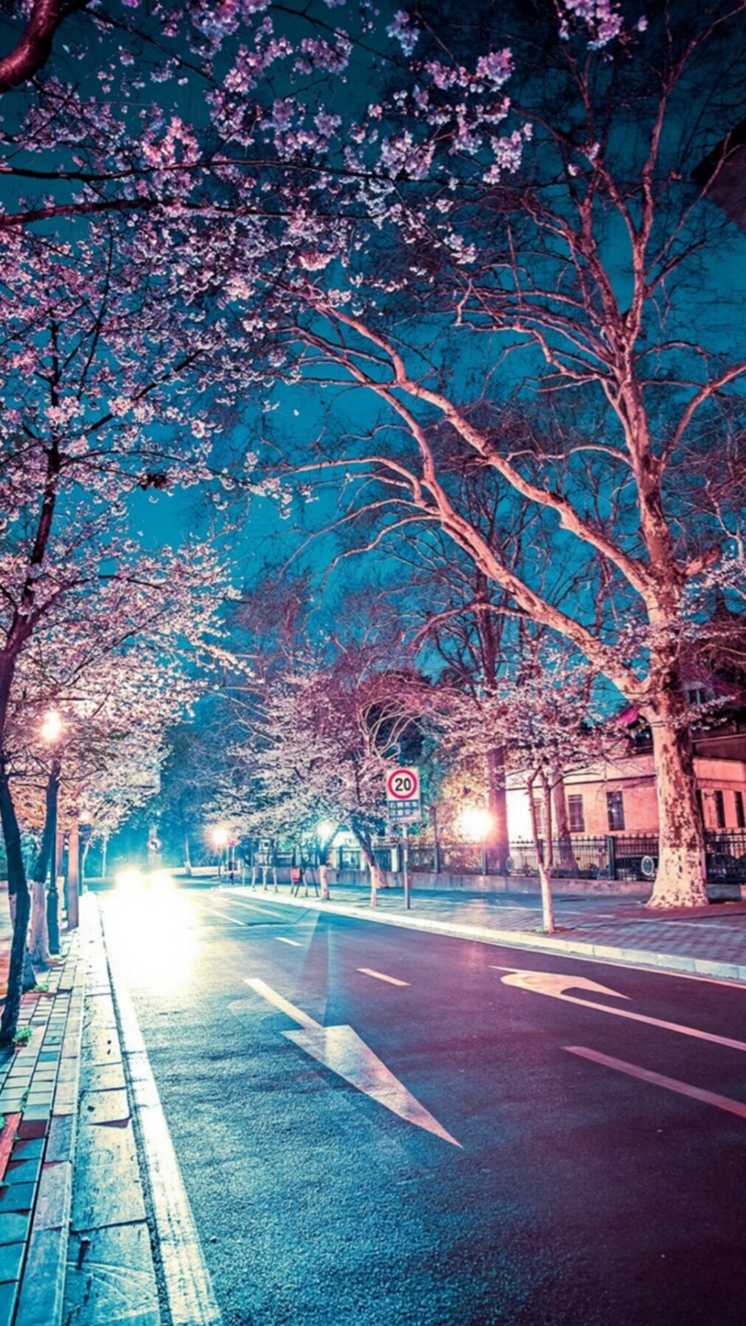 1080x1920 Japanese Street Cherry Blossom Night Scenery iPhone 8, Phone