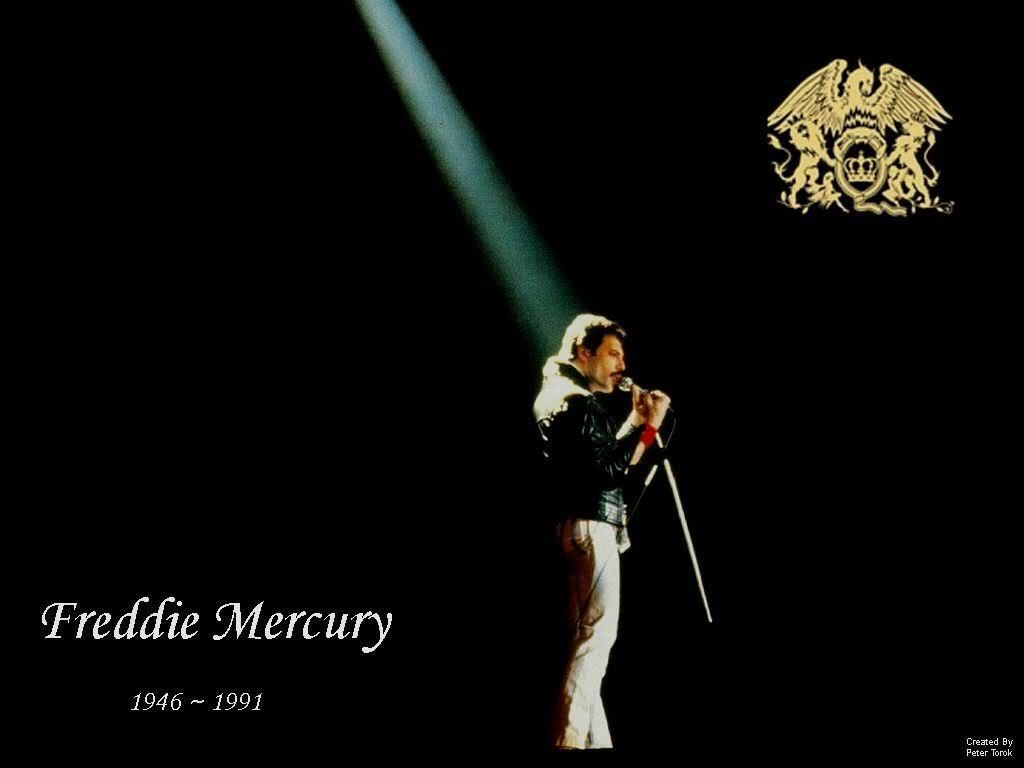 1030x770 Freddie Mercury wallpaperx768, Desktop