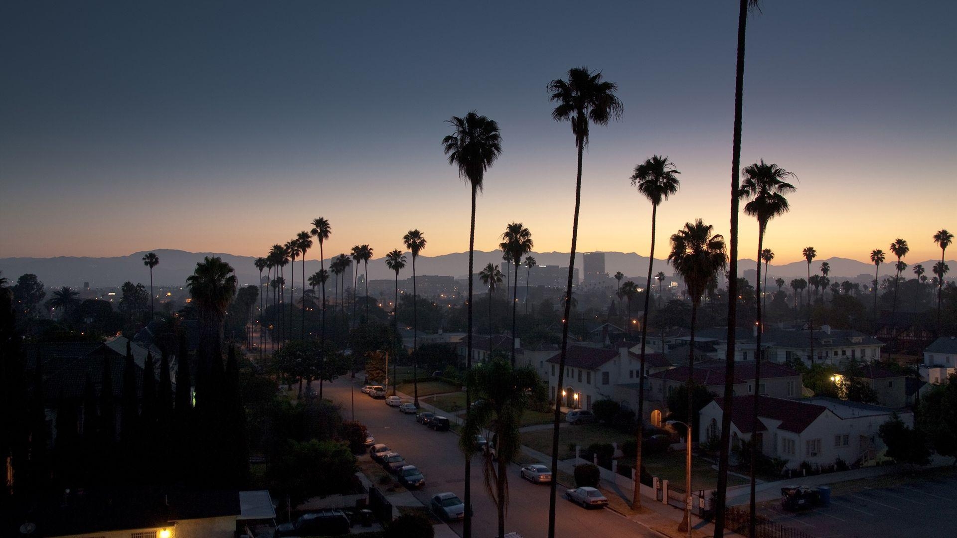 1920x1080 Palm Tree Night View California Wallpaper, Desktop