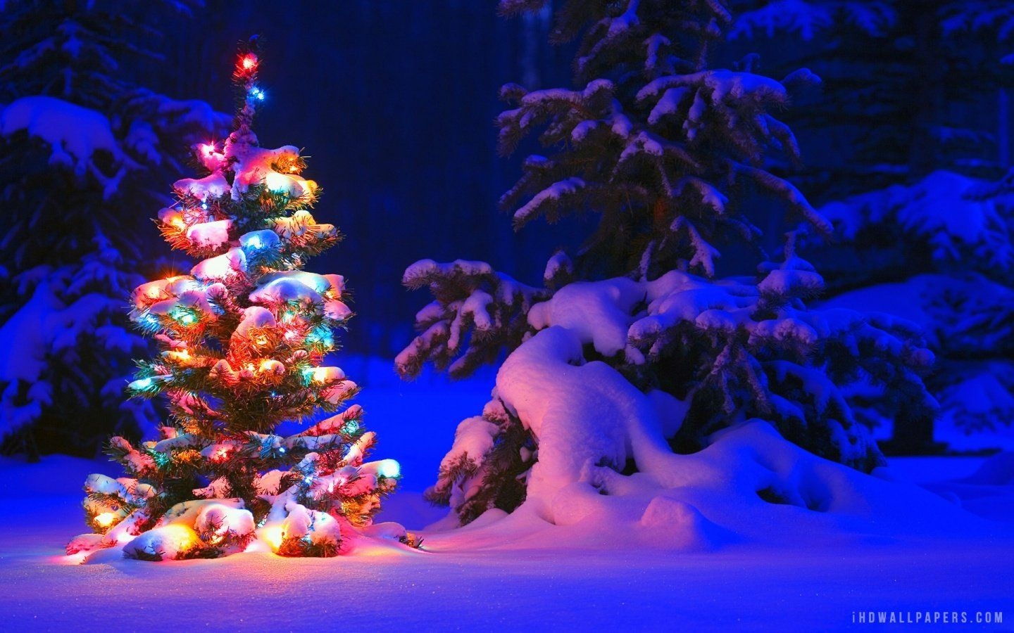 1440x900 Christmas Wallpaper for Windows 10, Desktop