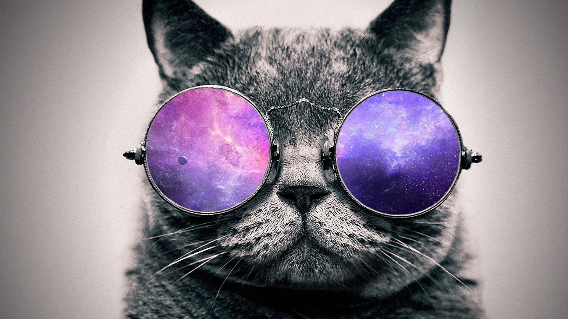 1920x1080 Afbeeldingsresultaat voor cat with galaxy glasses wallpaper, Desktop