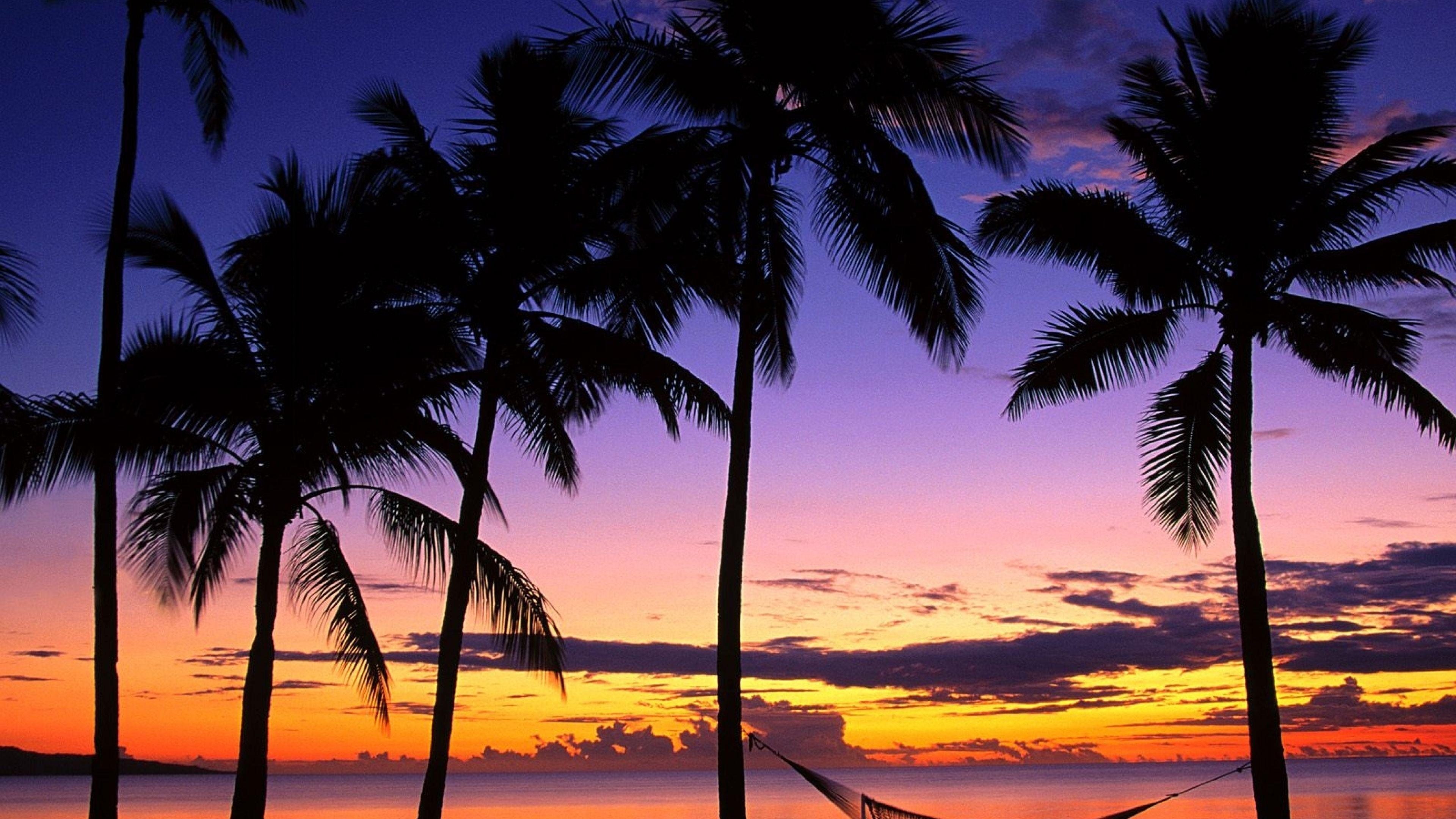 3840x2160 Download Wallpaper  Fiji, Palm trees, Hammock, Evening, Desktop