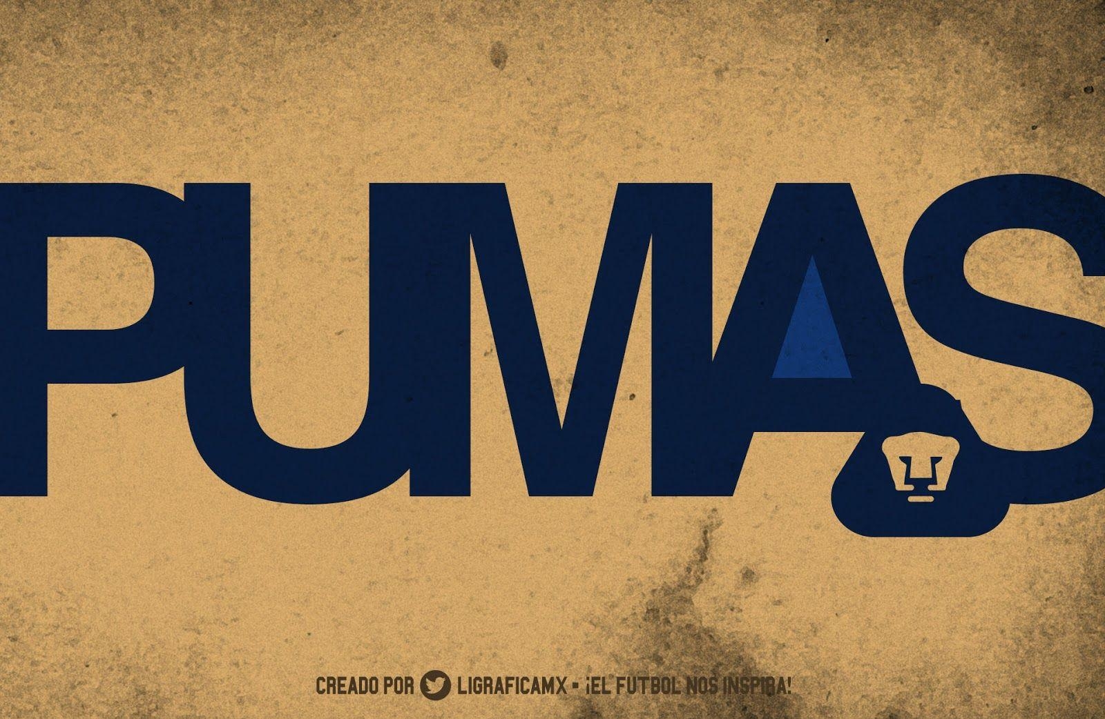 1600x1050 Pumas Wallpaper, Desktop