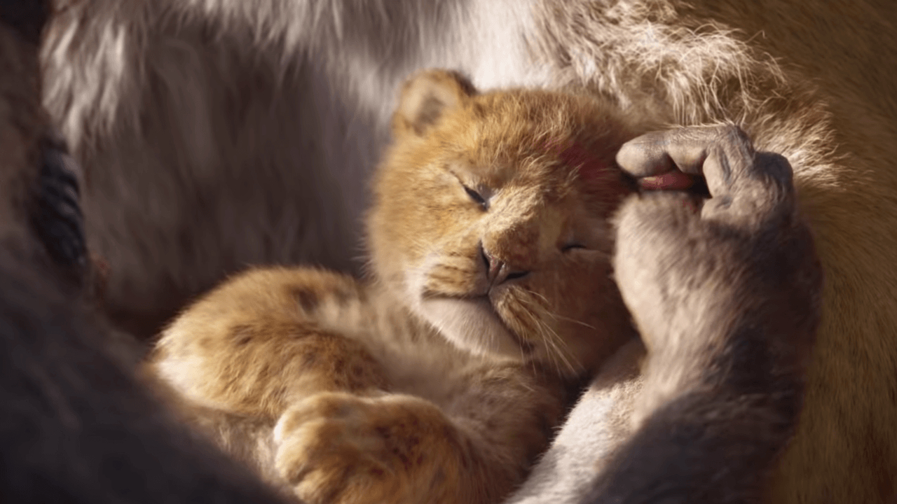 1280x720 This 'Lion King' Remake Sure Looks Like the Old 'Lion King', Desktop