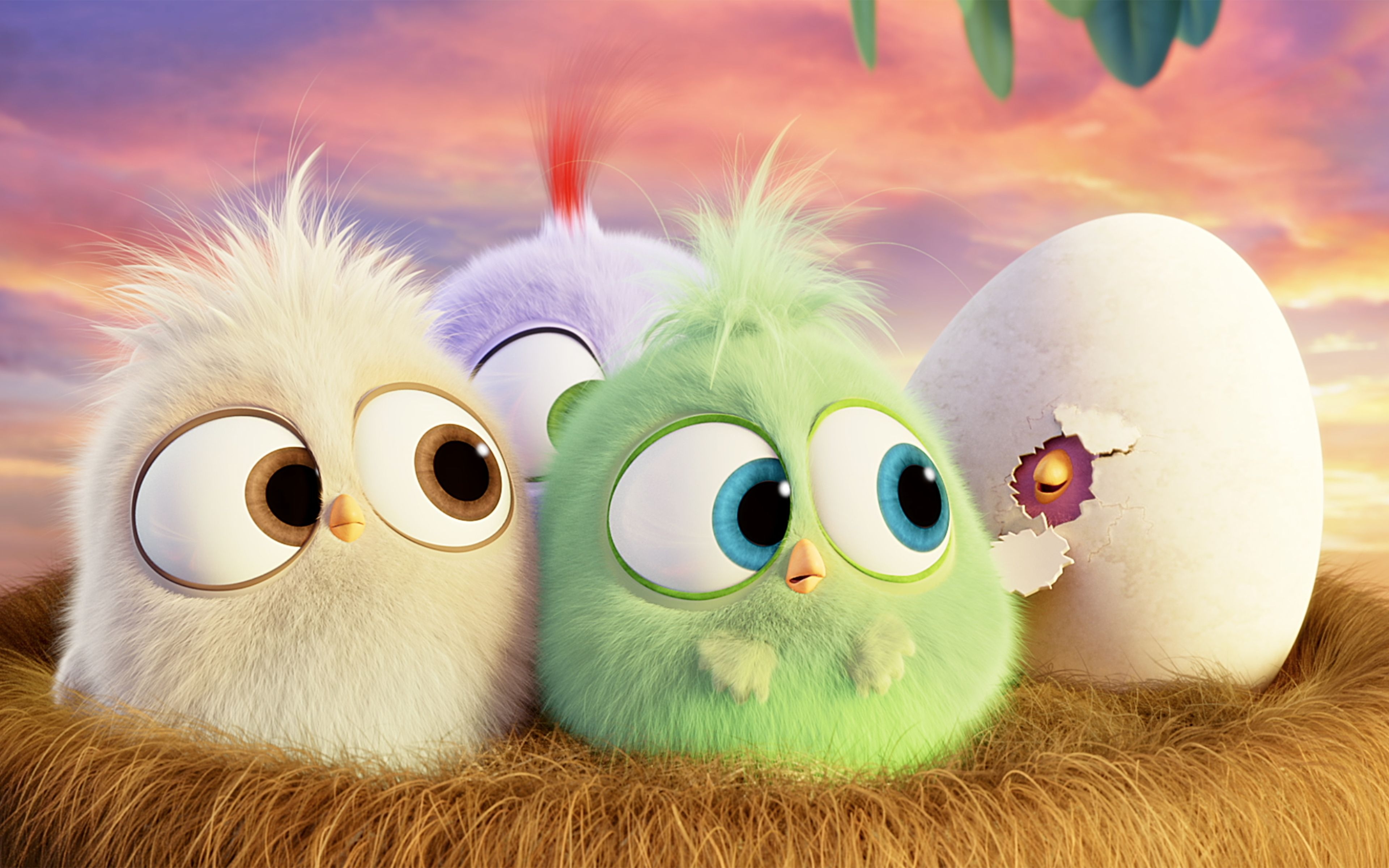 3840x2400 Angry Birds Hatchlings Wallpaper 4k Ultra HD, Desktop