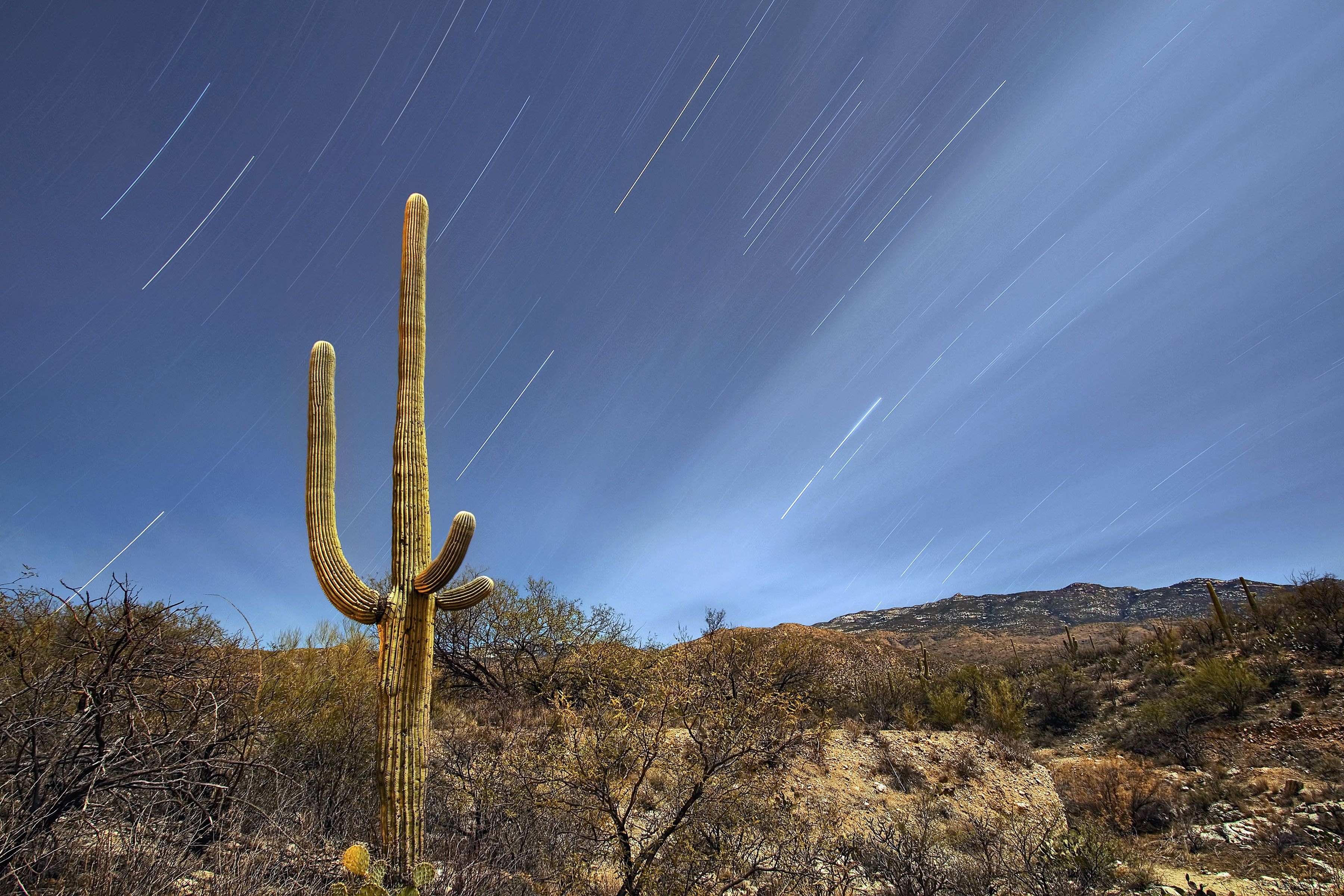 3600x2400 Saguaro National Park Tucson Arizona wallpaperx2400, Desktop